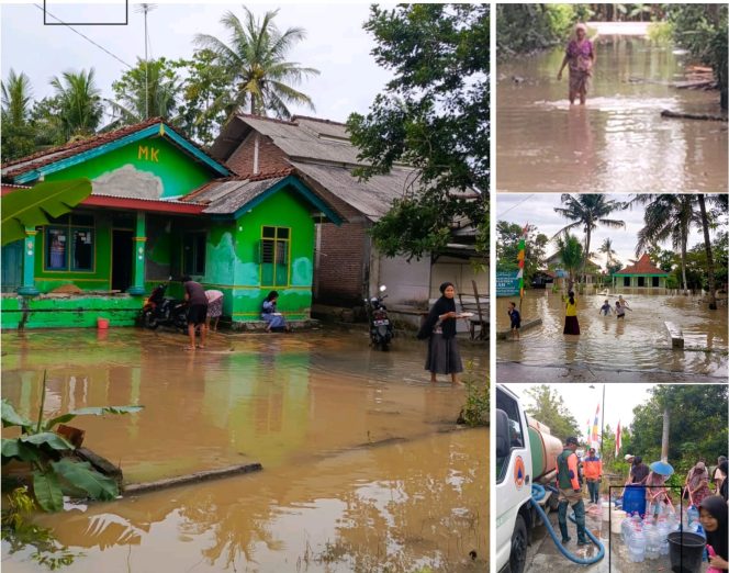 
					Banjir Kalijeruk, Hanyutkan Padi, Luluhlantakkan Harapan Petani
