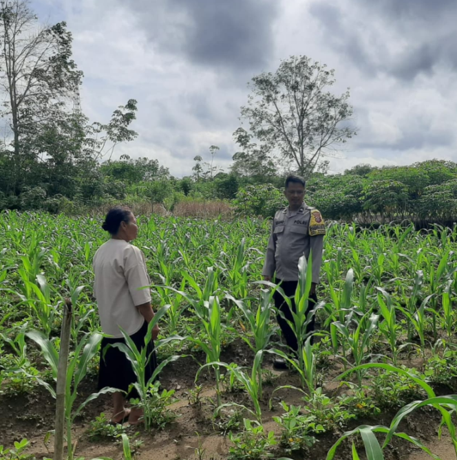 
					Bhabinkamtibmas Polsek Sukamara Sambangi Lahan Pertanian Warga di Kelurahan Mendawai