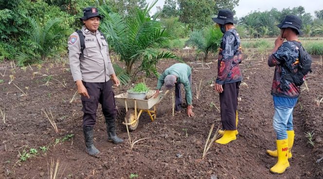 
					Polsek Kapuas Barat Melalui Polmas Dorong Ketahanan Pangan Lewat Pemanfaatan Pekarangan Pangan Bergizi (P2B)