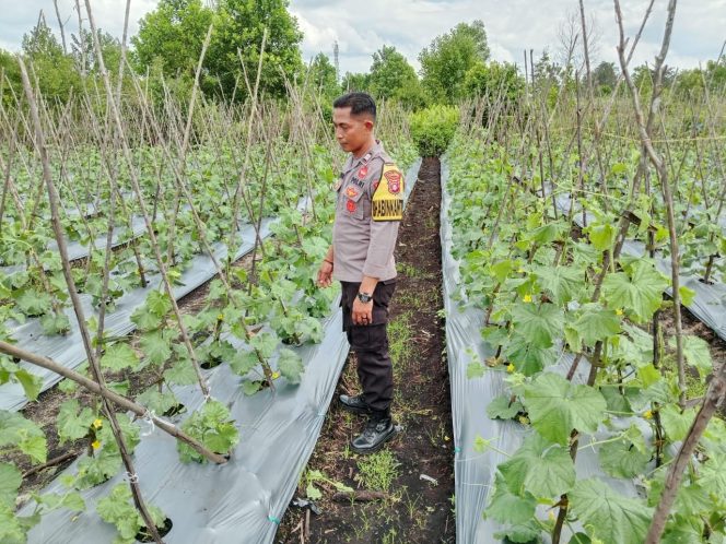 
					Polsek Ketapang Dukung Asta Cita Di Kelurahan Sawahan MB Ketapang.
