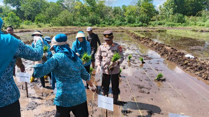 
					Dukung Ketahanan Pangan, Polresta Palangka Raya Hadiri Launching Rumah Bibit dan Gerakan Pemanfaatan Pekarangan