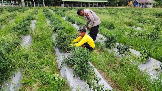 
					Personil Polsek Kapuas Barat Mengajak Warga Dalam Pemanfaatan Lahan Guna Ketahanan Pangan Di Desa Basuta Raya