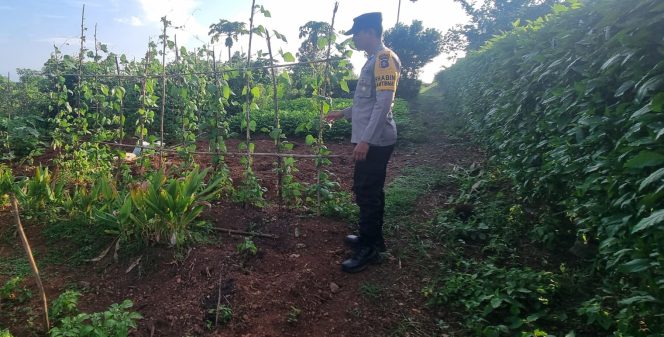 
					‎Kegiatan Pengecekan Pekarangan pangan bergizi Warga untuk Dukung Ketahanan Pangan Nasional  ‎