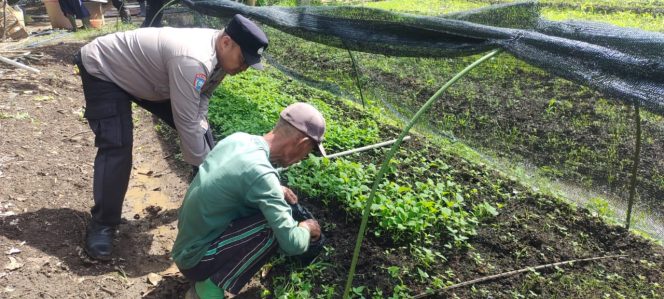 
					Polsek Kapuas Barat Laksanakan Pengecekan Lokasi Pemanfaatan Pekarangan Pangan Bergizi untuk Dukung Program Ketahanan Pangan Nasional