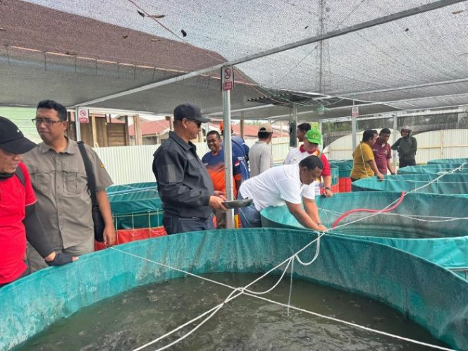 
					BUPATI ARMIA PIMPIN GOTONG ROYONG MASSAL DI PULAU TIGA