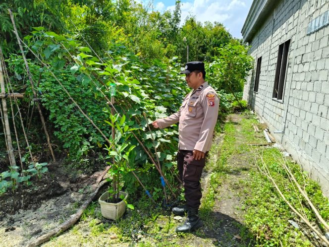 
					Anggota Pollsek Kapuas Tengah laksanakan Pengecekan Lahan Pekarangan masyarakat Desa Pujon