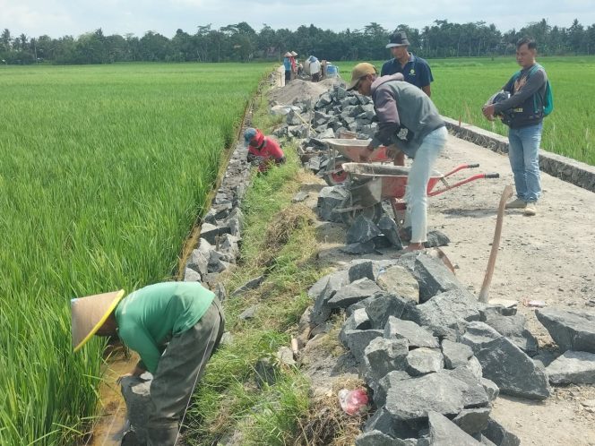 
					Gotong Royong Warga Desa Babakan, Wujudkan Jalan dan Saluran Air Berkat Bansos dan Swadaya