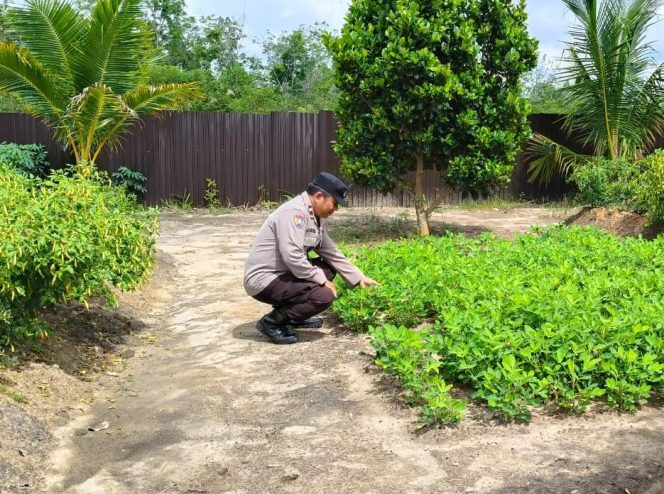 
					Anggota Polsek Kapuas Tengah laksanakan Pengecekan Pemanfaatan Lahan Pekarangan Desa Pujon