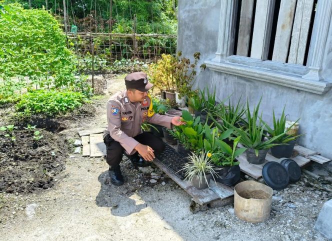 
					Polsek Kapuas Tengah laksanakan Pengecekan Pemanfaatan Lahan Pekarangan warga di Desa Pujon