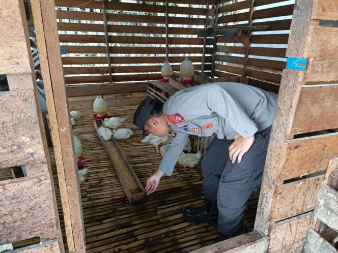 
					Anggota Polsek Kapuas Tengah Melaksanakan Pengecekan Pekarangan Hewan warga di Desa Jangkang