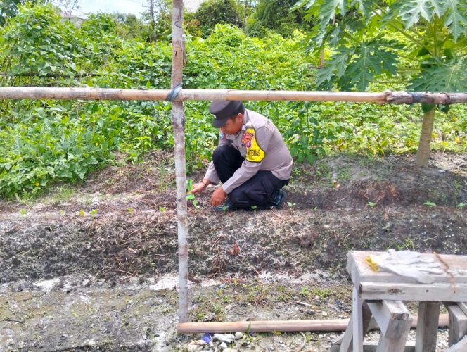 
					Anggota Polsek Kapuas Tengah melaksanakan Pengecekan Pemanfaatan Lahan Pekarangan warga Desa Pujon