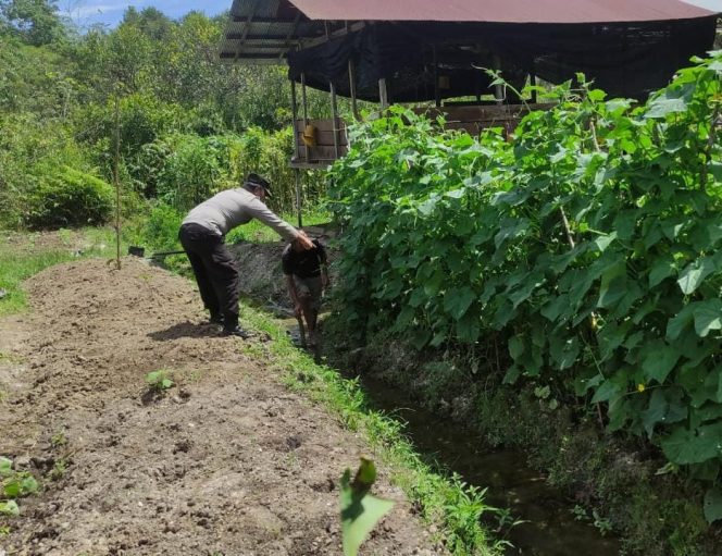 
					Polsek Kapuas Tengah Melaksanakan Pengecekan Lahan Pekarangan warga di Desa Jangkang
