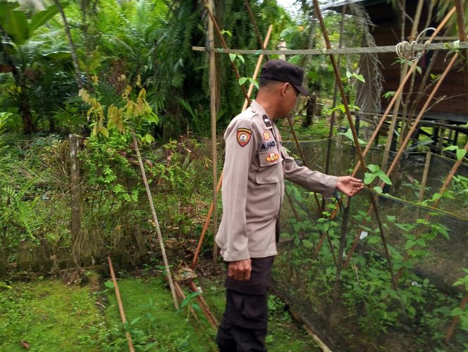 
					Anggota Polsek Kapuas Tengah melaksanakan Pengecekan Pemanfaatan Lahan Pekarangan Desa Pujon