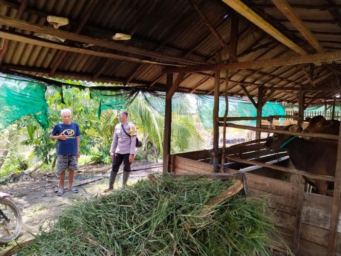 
					Giat Dukungan Terhadap Ketahanan Pangan Personil Polsek Kapuas Murung Pemanfaatan Lahan Pekarangan Mandiri