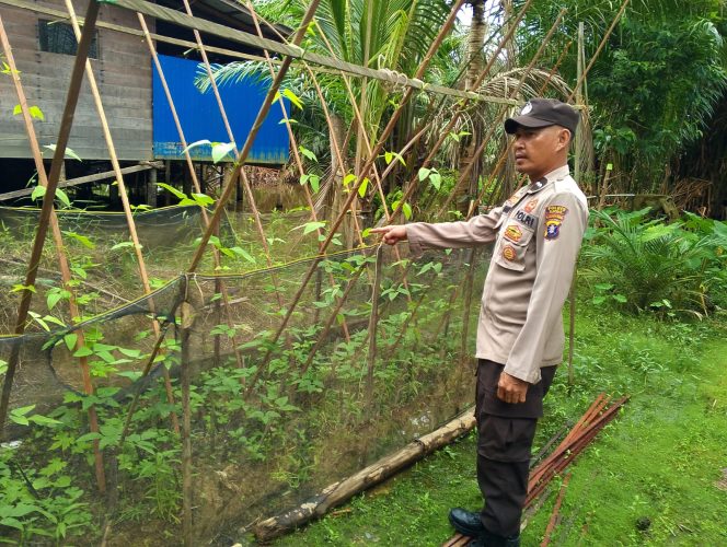 Anggota Polsek Kapuas Tengah melaksanakan Pengecekan Pemanfaatan lahan Pekarangan Desa Pujon