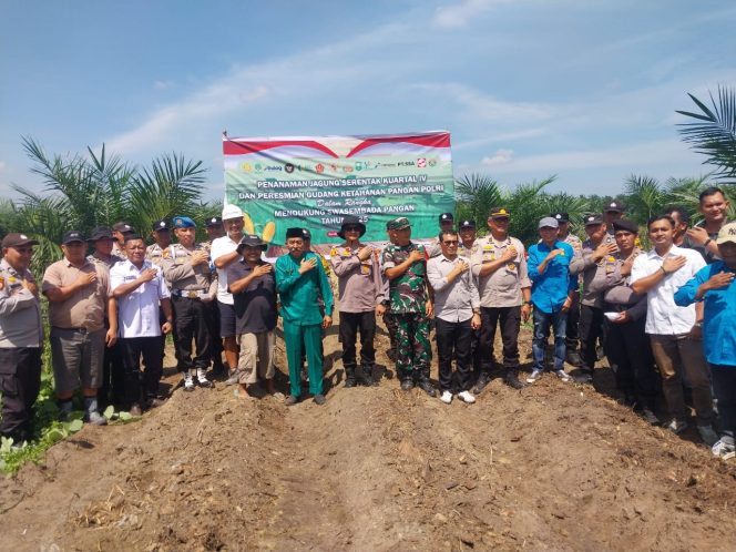 
					Kapolsek Kandis Bersama Upika Tanam Jagung 10 Hektar, Dukung Program Ketahanan Pangan Nasional