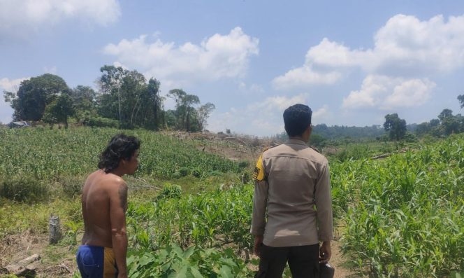 
					Polsek Murung Rutin Cek Lahan Jagung Warga Danau Usung