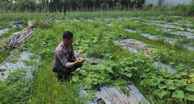 
					Polsek Ketapang Dukung Asta Cita Melalui Bhabinkamtibmas Di Kelurahan Sawahan