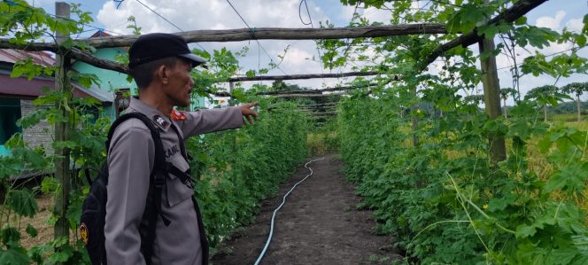 
					Giat Monitoring dan Pendampingan Pemanfaatan Lahan Pekerangan Dalam Rangka Implementasi Asta Cita Presiden Republik Indonesia Dalam Bidang Ketahanan Pangan Oleh Polsek kapuas Hilir Polres Kapuas