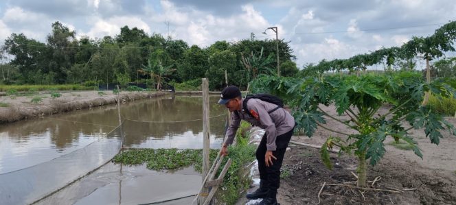 Giat Monitoring dan Pendampingan Pemanfaatan Lahan Pekerangan Dalam Rangka Implementasi Asta Cita Presiden Republik Indonesia Dalam Bidang Ketahanan Pangan Oleh Polsek kapuas Hilir Polres Kapuas