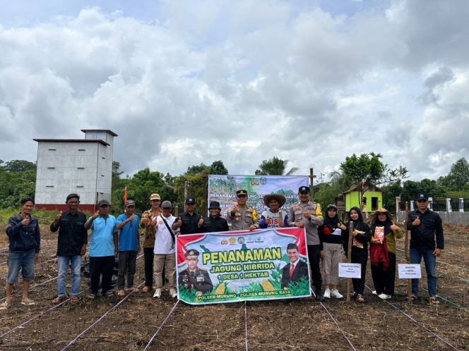 
					Kapolsek Murung Pimpin Penanaman Jagung Hibrida Di Desa Penyang