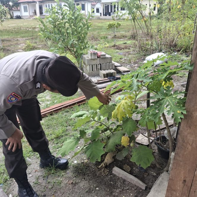 Polsek Kapuas Tengah Melaksanakan Pengecekan Lahan Pekarangan warga di Desa Jangkang