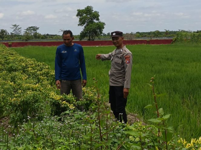 Giat Dukungan Terhadap Ketahanan Pangan Personil Polsek Kapuas Murung Pemanfaatan Lahan Pekarangan Mandiri