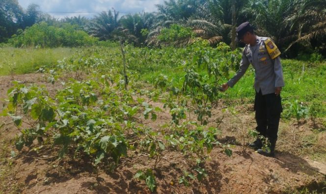 Bhabinkamtibmas Desa Terantang Dukung Program Asta Cita .