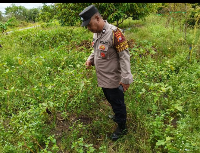 
					Polsek Timpah Melaksanakan Pengecekan Pemanfaatan Lahan Pekarangan Warga Desa Tumbang Randang