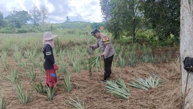 Polsek Basarang Dukung Ketahanan Pangan Untuk Program Makan Bergizi