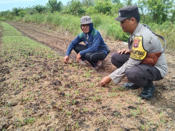 
					Polsek Basarang Dukung Ketahanan Pangan Untuk Program Makan Bergizi
