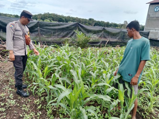 
					Polsek Basarang Dukung Ketahanan Pangan Untuk Program Makan Bergizi
