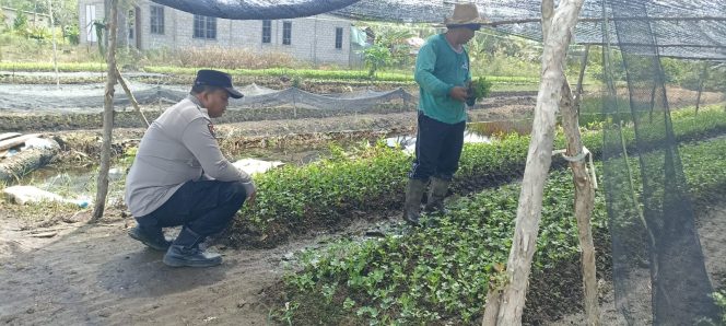 
					Polsek Basarang Dukung Ketahanan Pangan Untuk Program Makan Bergizi
