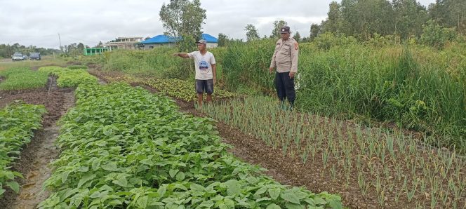 
					Polsek Basarang Dukung Ketahanan Pangan Untuk Program Makan Bergizi