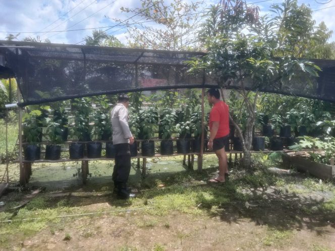 
					Polsek Kapuas Barat Dorong Ketahanan Pangan Lewat Pemanfaatan Pekarangan