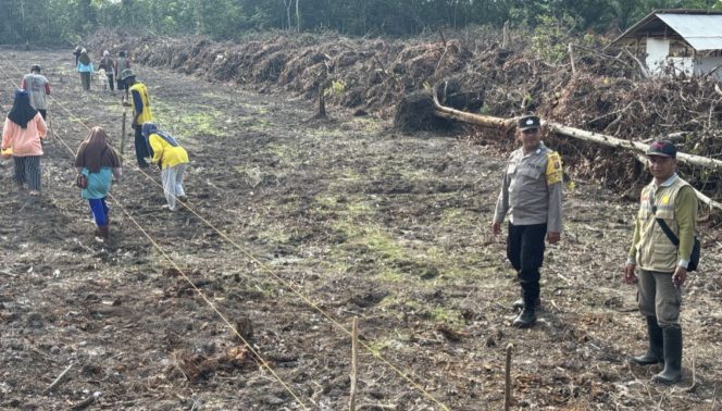 
					Polisi & Warga Desa Tanam Jagung Bareng! Dorong Kemandirian Pangan di Kanamit Barat