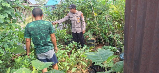 
					Pengecekan Lokasi Pemanfaatan Pekarangan Pangan Bergizi Bidang Perkebunan