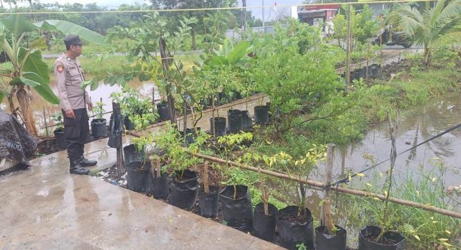 GIAT PENGECEKAN LOKASI PEMANFAATAN PEKARANGAN PANGAN BERGIZI BIDANG PERKEBUNAN DALAM RANGKA IMPLEMENTASI ASTA CITA PRESIDEN REPUBLIK INDONESIA DI WILAYAH POLRES KAPUAS