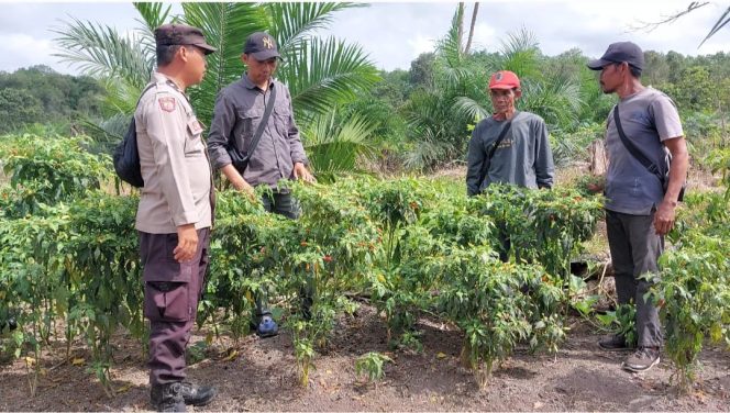 Polsek Kapuas Barat Melalui Polmas/Bhabinkamtibmas Dorong Ketahanan Pangan Lewat Pemanfaatan Pekarangan Pangan Bergizi