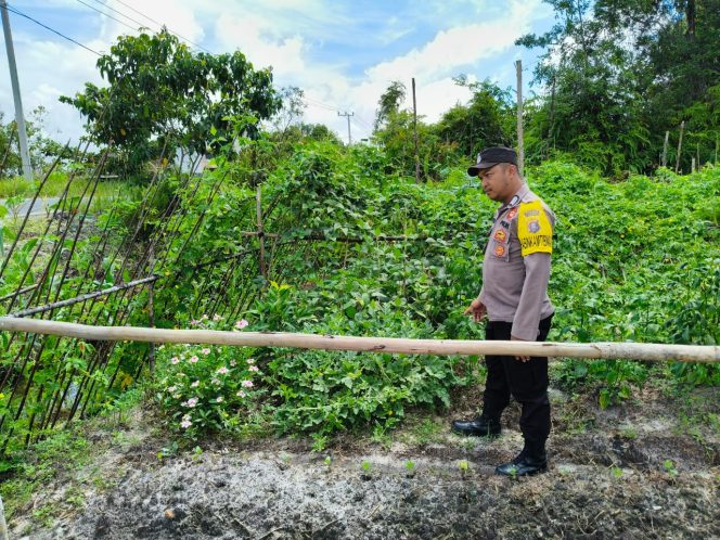 
					Polsek Kapuas Tengah melaksanakan Pengecekan Pemanfaatan lahan Pekarangan Desa Pujonn