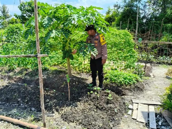 
					Anggota Polsek Kapuas Tengah melaksanakan Pengecekan Pemanfaatan Pekarangan Desa Pujonn