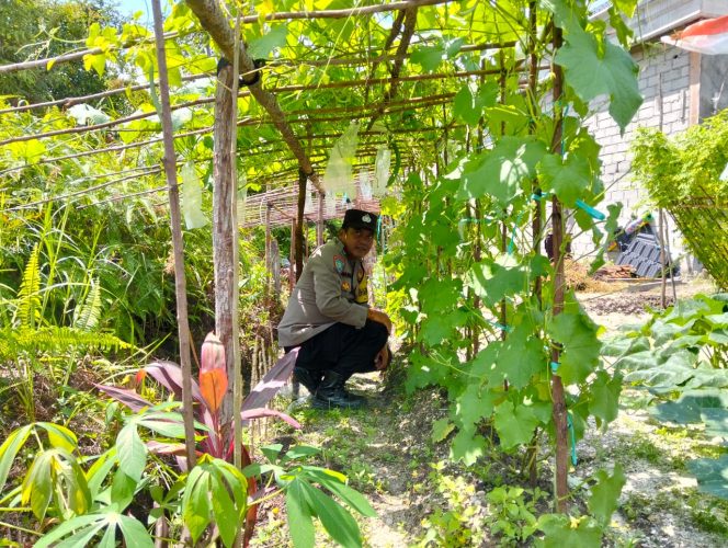 
					Anggota Polsek Kapuas Tengah melaksanakan Pengecekan Pemanfaatan lahan Pekarangan di Desa Pujon