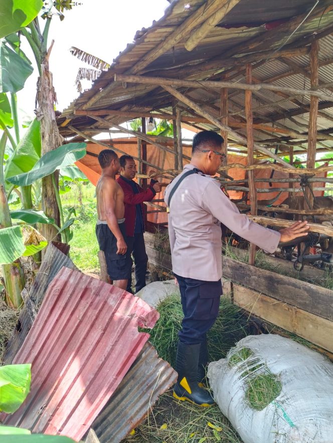 
					Giat Dukungan Terhadap Ketahanan Pangan Personil Polsek Kapuas Murung Pemanfaatan Lahan Pekarangan Mandiri