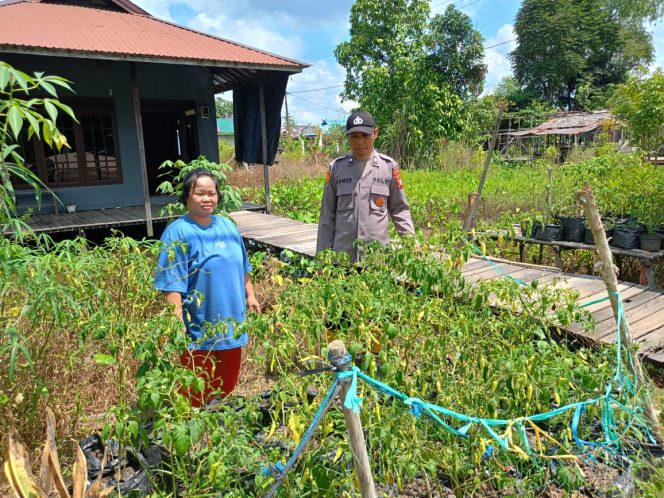 
					Polsek Kapuas Barat Dorong Ketahanan Pangan Lewat Pemanfaatan Pekarangan