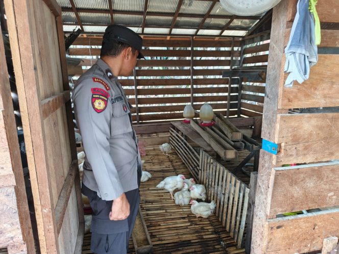 
					Personel Polsek Kapuas Tengah melaksanakan Pengecekan Pekarangan hewan Desa Jangkang