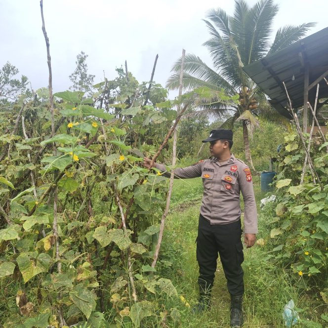 
					Anggota Polsek Kapuas Tengah laksanakan Pengecekan Lahan Pekarangan di Desa Jangkang
