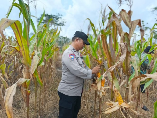 
					Anggota Polsek Kapuas Tengah melaksanakan Pengecekan Pemanfaatan Pekarangan di Desa Pujon