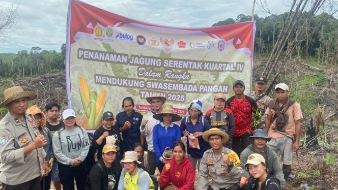 
					Penanaman Jagung Serentak Kuartal IV, Polsek Permata Intan Dukung Swasembada Pangan Nasional