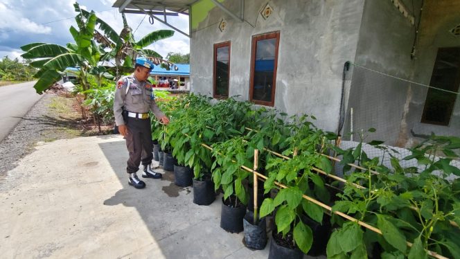 
					Polsek Kapuas Barat Berikan Dukungan pada Program Pekarangan Pangan Bergizi (P2B) di Kelurahan Mandomai