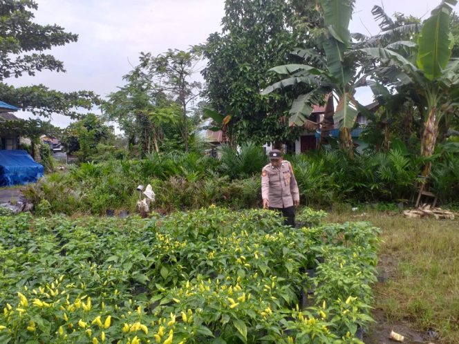
					Polsek Kapuas Barat Cek Lokasi Pemanfaatan Pekarangan Untuk Program Ketahanan Pangan